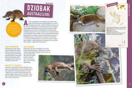 zwierzęta świata elibri 2